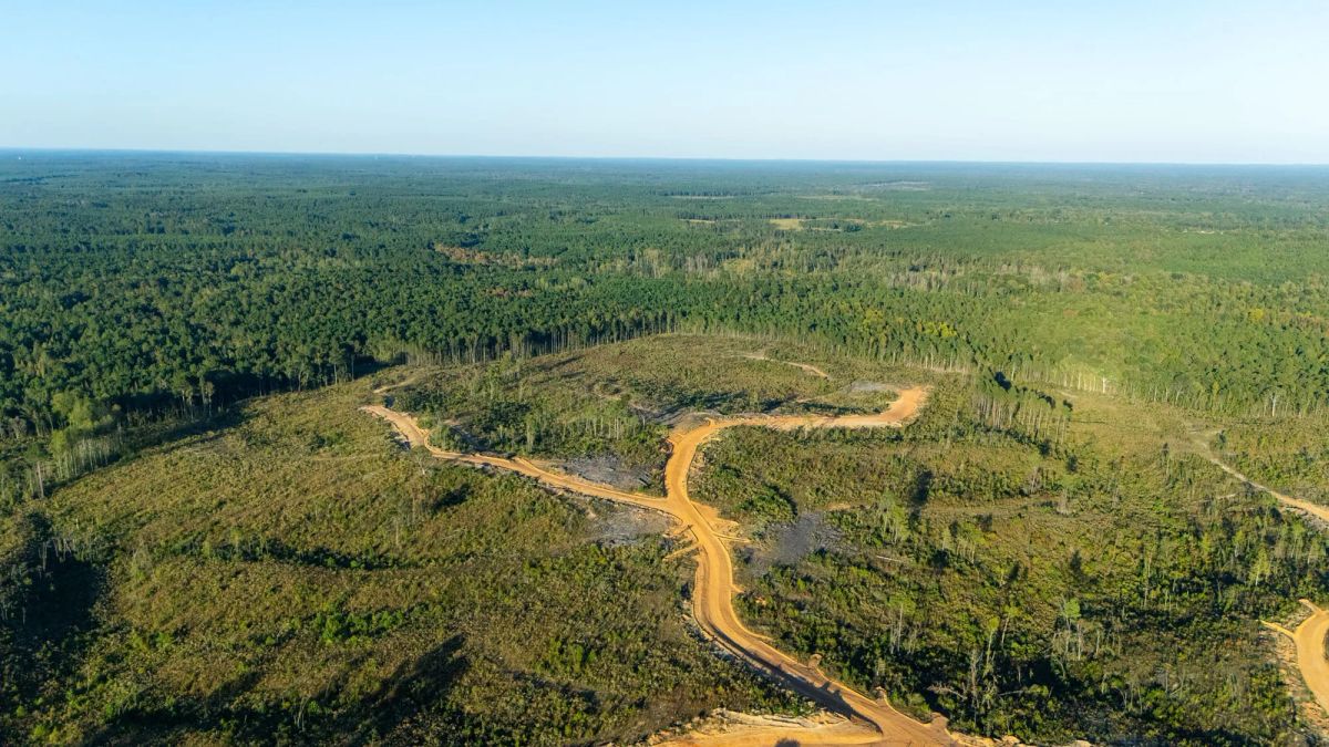 Meyer’s Ridge Tract 30 - Main image