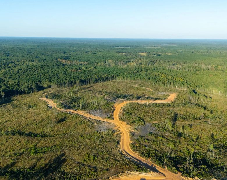 Meyer’s Ridge Tract 30 in Attala County, MS