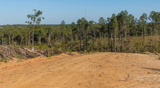 Meyer’s Ridge Tract 30 in Attala County, MS