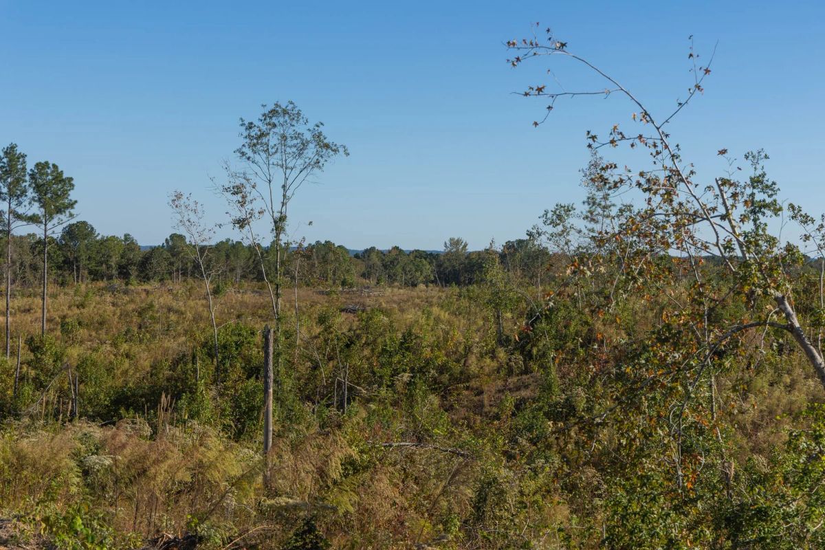 Meyer’s Ridge Tract 30 - Image 3