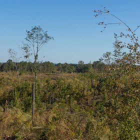 Meyer’s Ridge Tract 30 in Attala County, MS