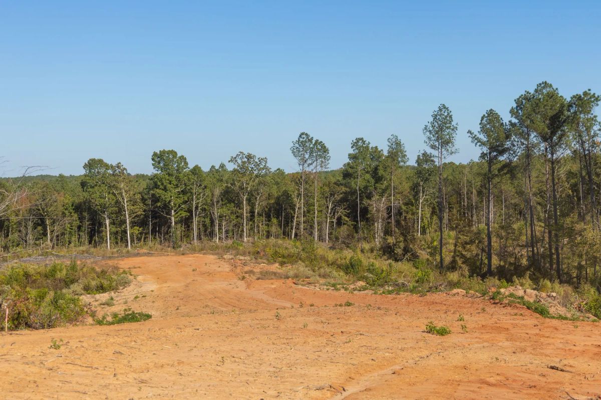 Decorative background for Meyer’s Ridge Tract 30 image 6