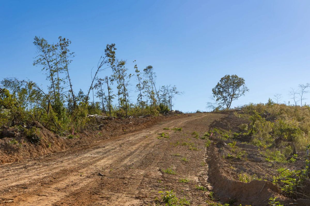 Decorative background for Meyer’s Ridge Tract 30 image 9