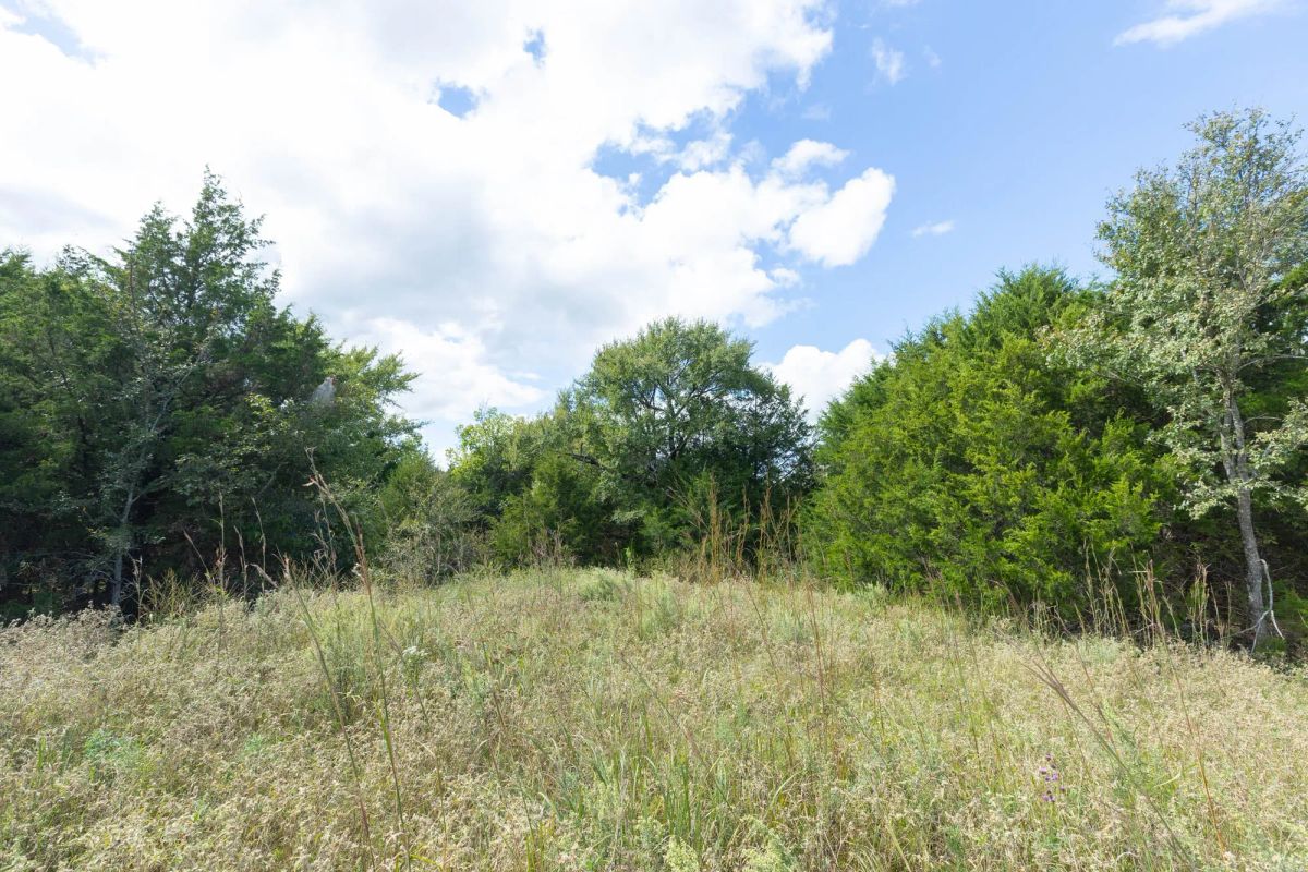 Reserves At Cattail Cove Phase II Tract 103 - Image 4