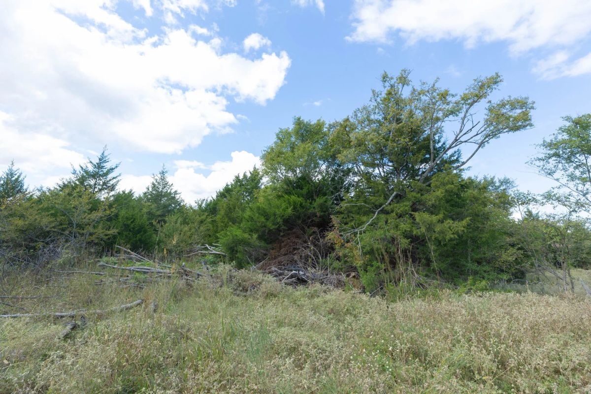 Decorative background for Reserves At Cattail Cove Phase II Tract 103 image 5