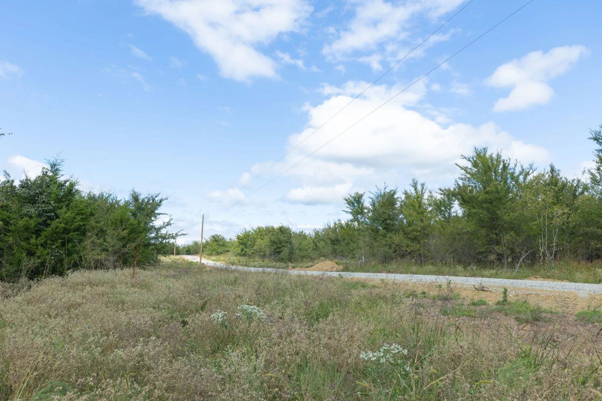 Decorative background for Reserves At Cattail Cove Phase II Tract 103 image 6