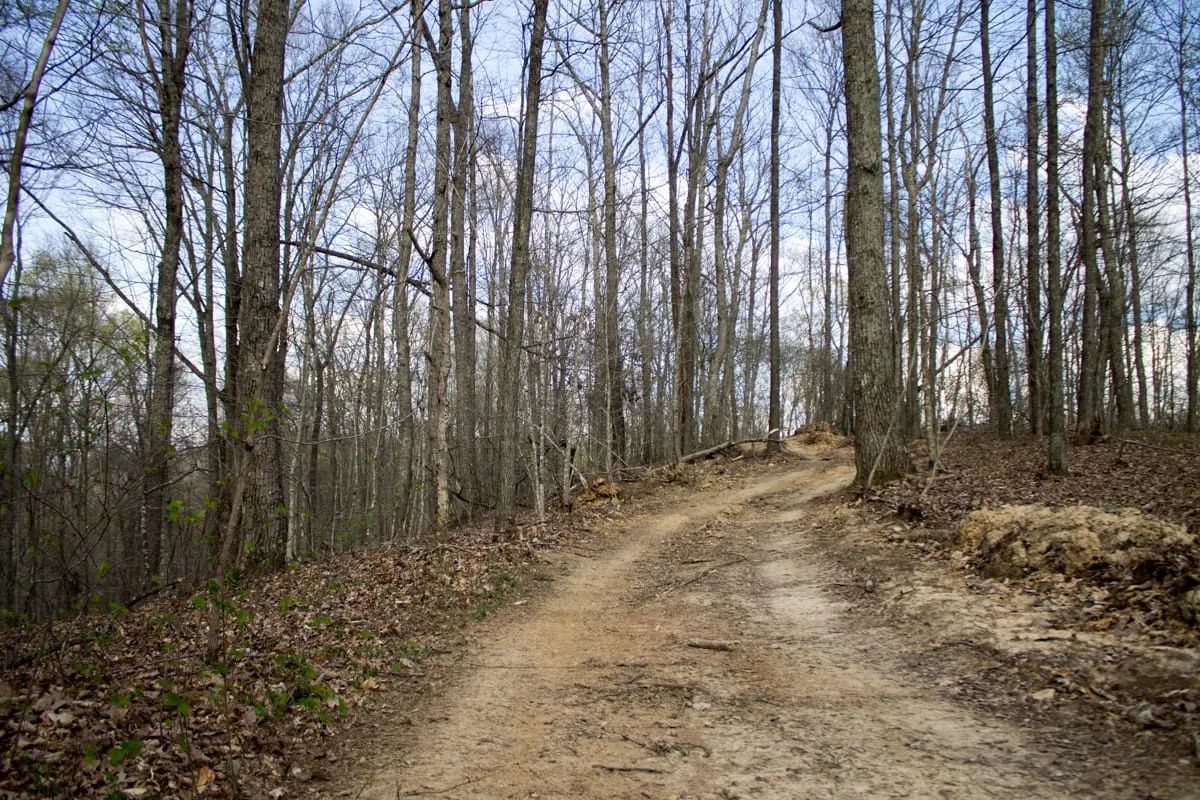 Chestnut Oak Ridge Tract 18 - Image 2