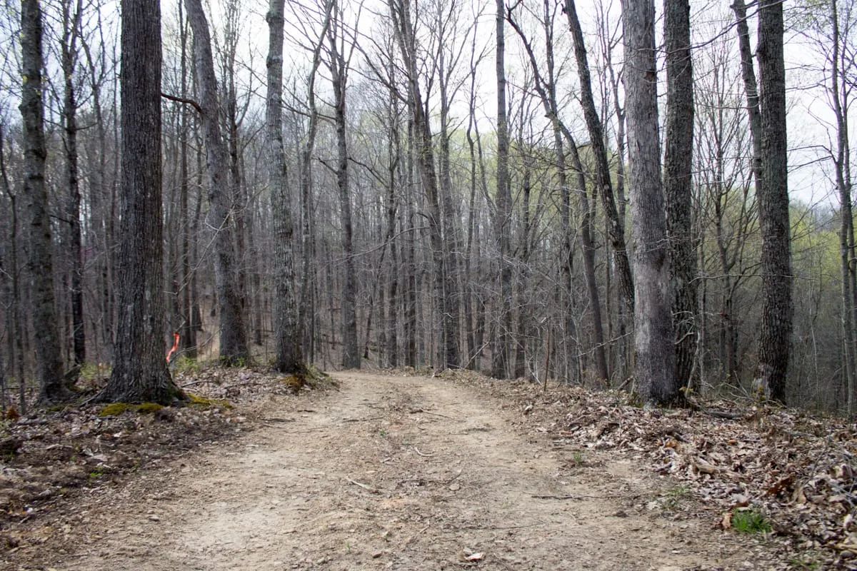 Chestnut Oak Ridge Tract 18 in Rockcastle County, KY
