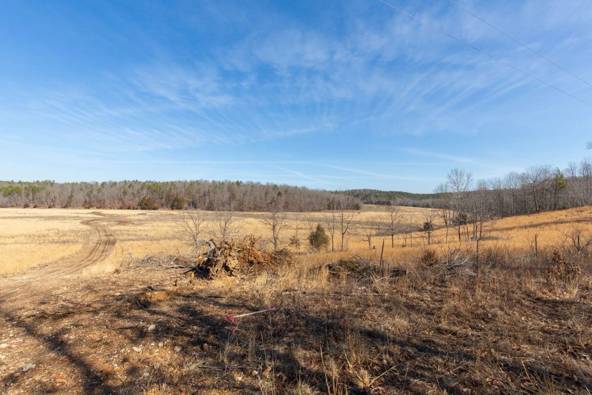 Decorative background for O’Connor Crossing Tract 28 image 5