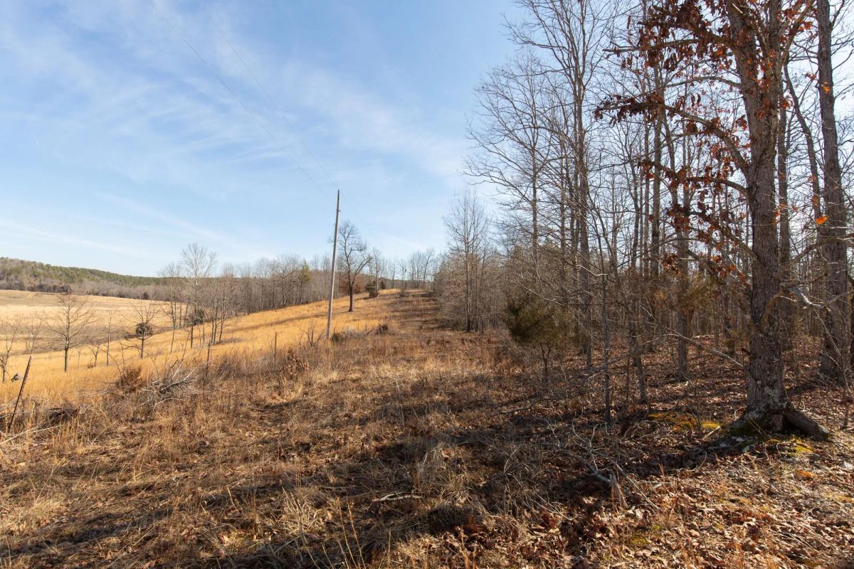 Decorative background for O’Connor Crossing Tract 28 image 7
