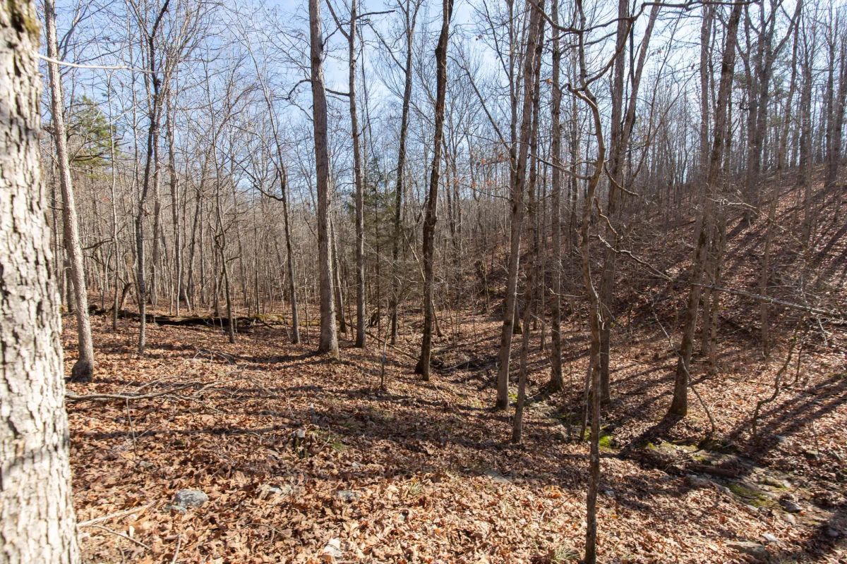 Decorative background for O’Connor Crossing Tract 28 image 9