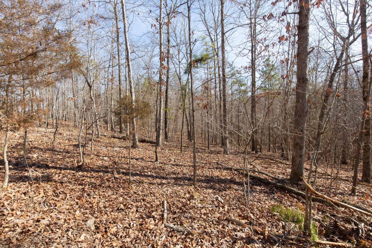 Decorative background for O’Connor Crossing Tract 28 image 12