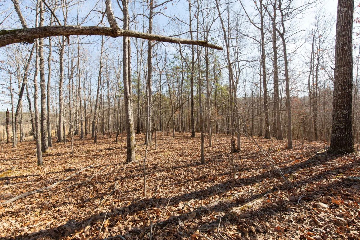 Decorative background for O’Connor Crossing Tract 28 image 13