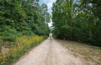 Spring Lake Plat 2 Tract 26