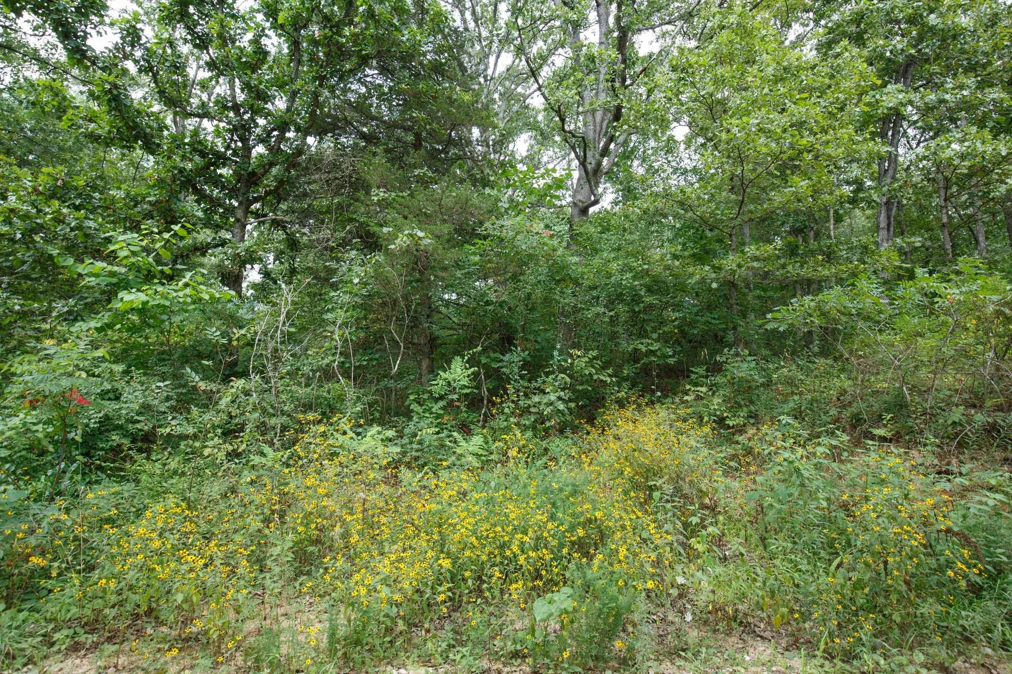 Spring Lake Plat 2 Tract 26 in Miller County, MO