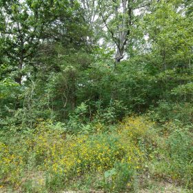 Spring Lake Plat 2 Tract 26 in Miller County, MO