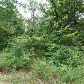 Spring Lake Plat 2 Tract 26 in Miller County, MO