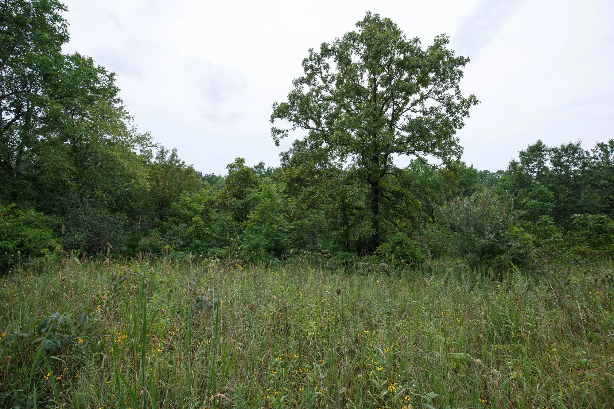 Spring Lake Plat 5 Tract 174 in Miller County, MO