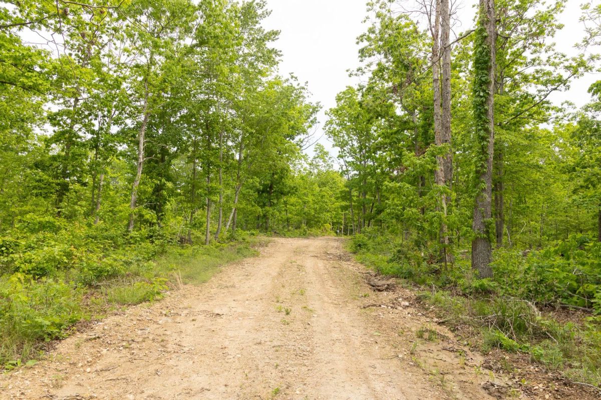 Stardust Estates Tract 7 - Image 2