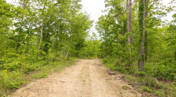 Stardust Estates Tract 7 in Reynolds County, MO