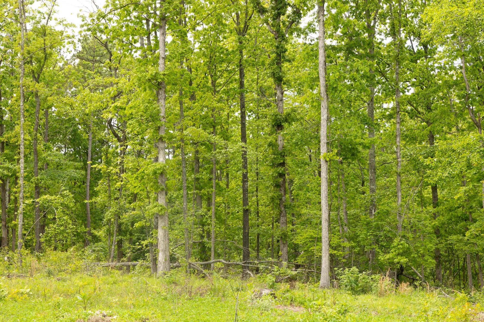 Stardust Estates Tract 7 in Reynolds County, MO