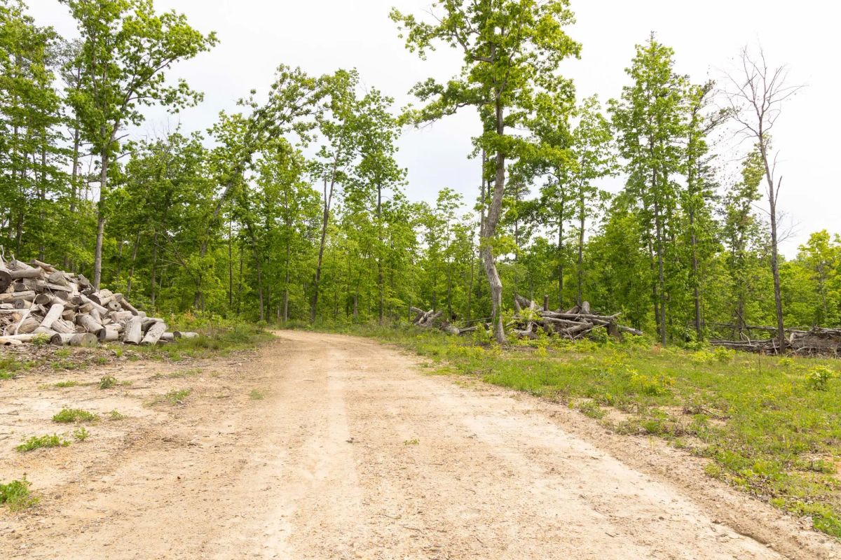 Decorative background for Stardust Estates Tract 7 image 7