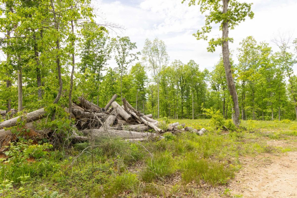 Decorative background for Stardust Estates Tract 7 image 9