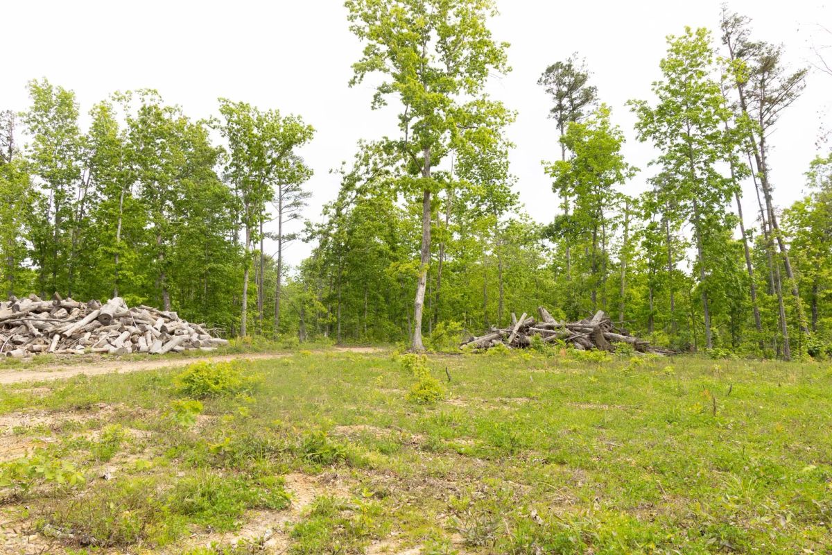 Decorative background for Stardust Estates Tract 7 image 10