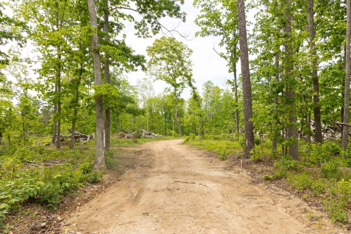Decorative background for Stardust Estates Tract 7 image 12