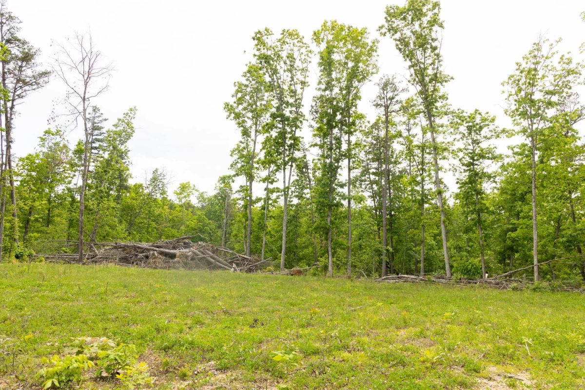 Decorative background for Stardust Estates Tract 7 image 16