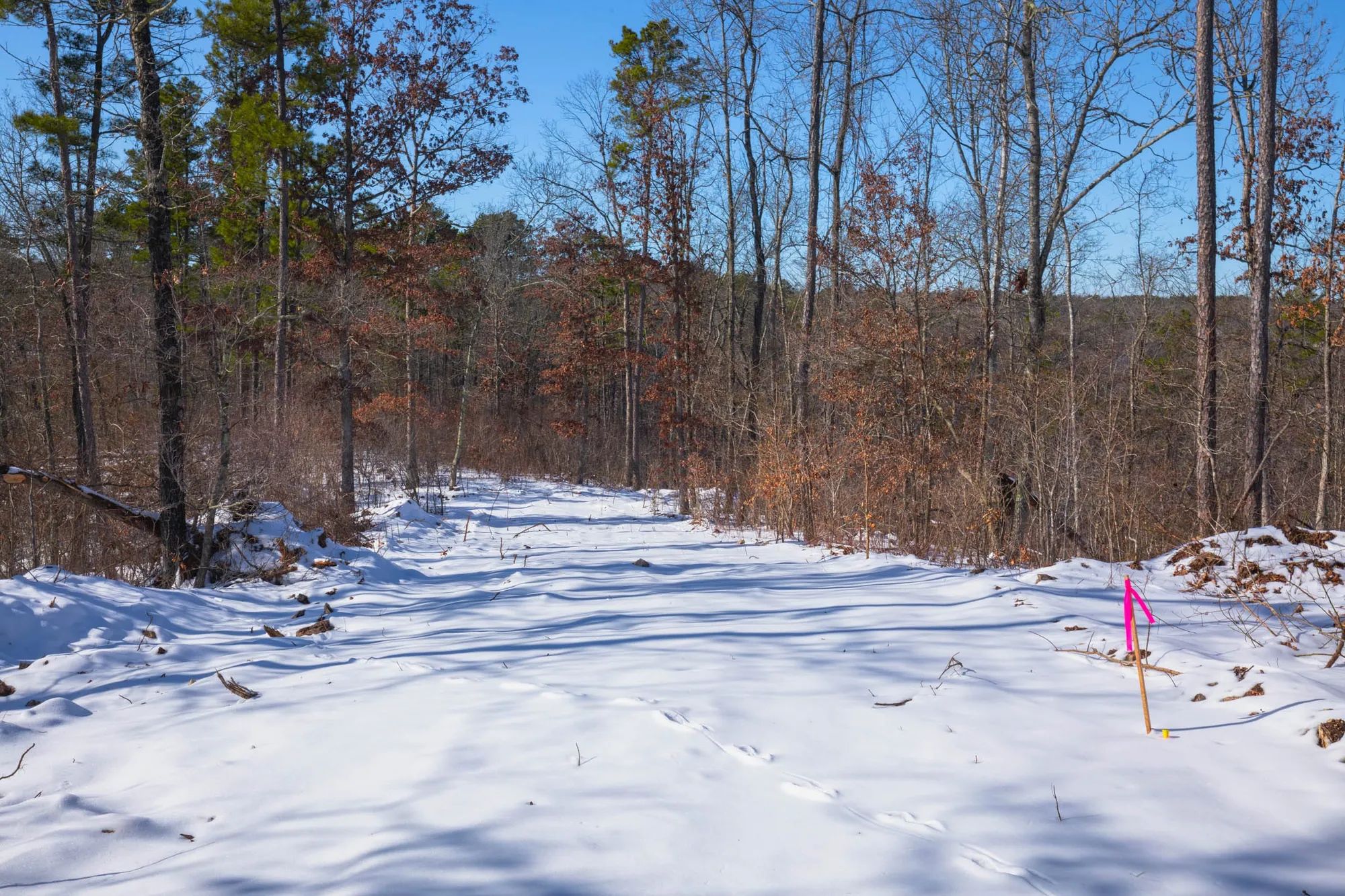 Sleepy Hollow Phase I Tract 18 in Texas County, MO