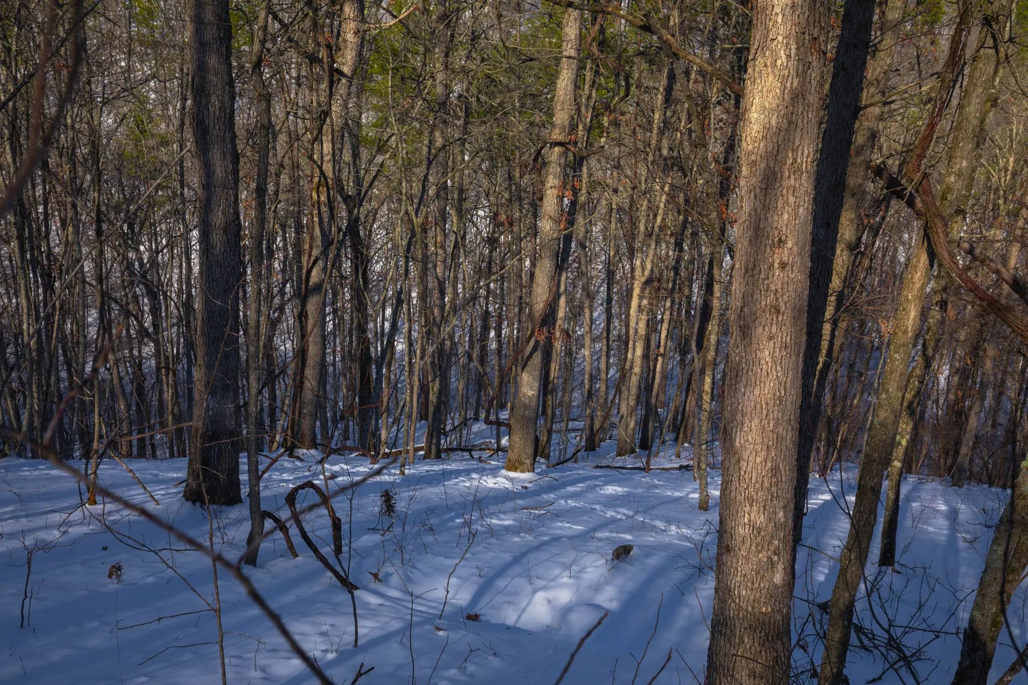 Sleepy Hollow Phase I Tract 18 in Texas County, MO