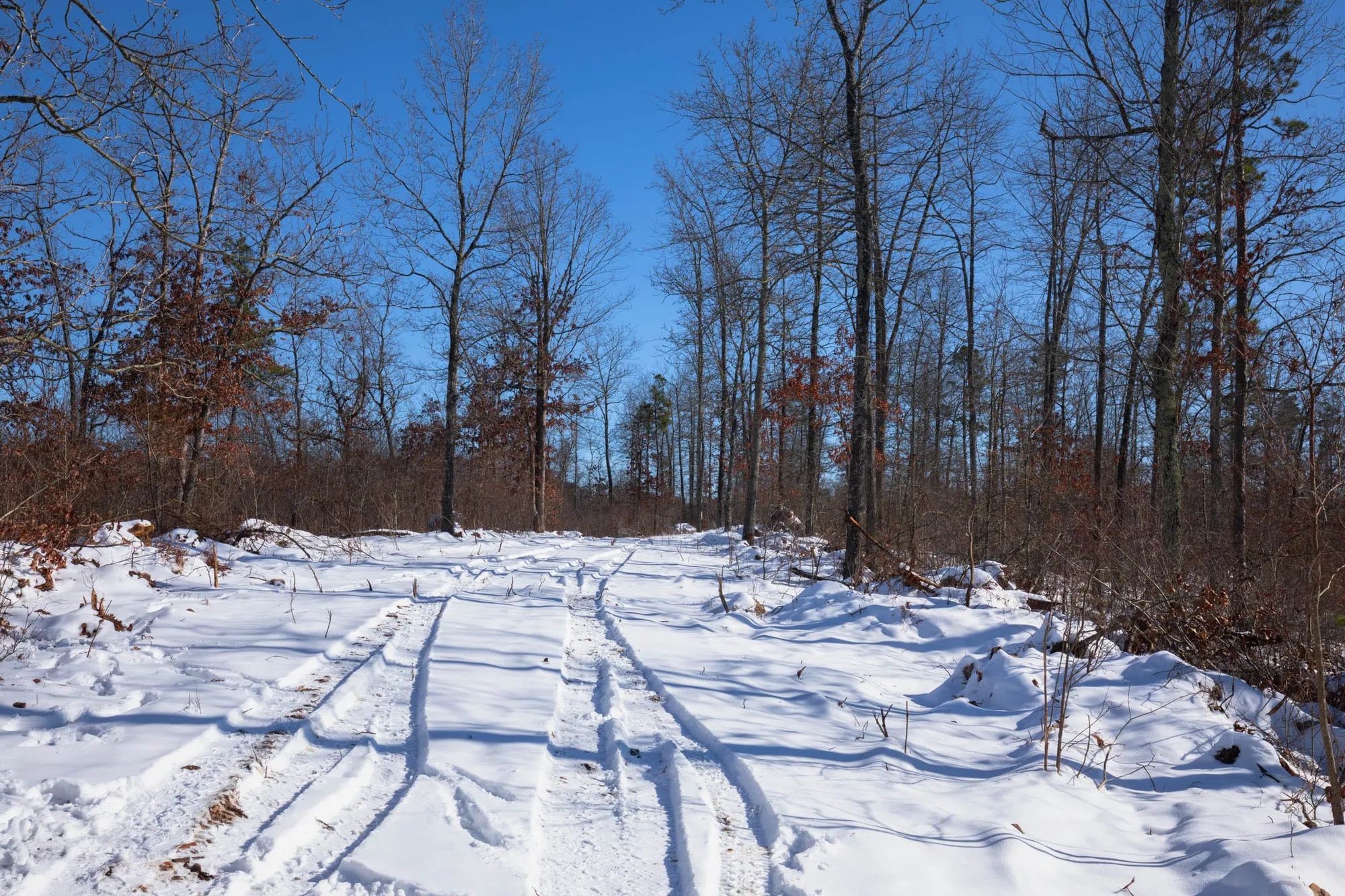 Sleepy Hollow Phase I Tract 18 in Texas County, MO