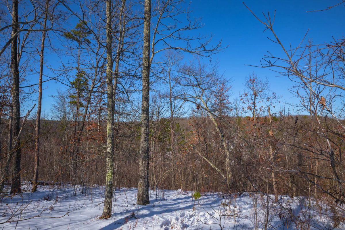 Decorative background for Sleepy Hollow Phase I Tract 18 image 9