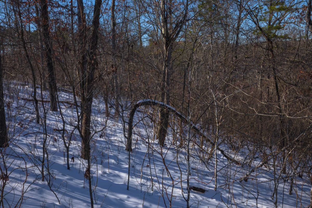 Decorative background for Sleepy Hollow Phase I Tract 18 image 12