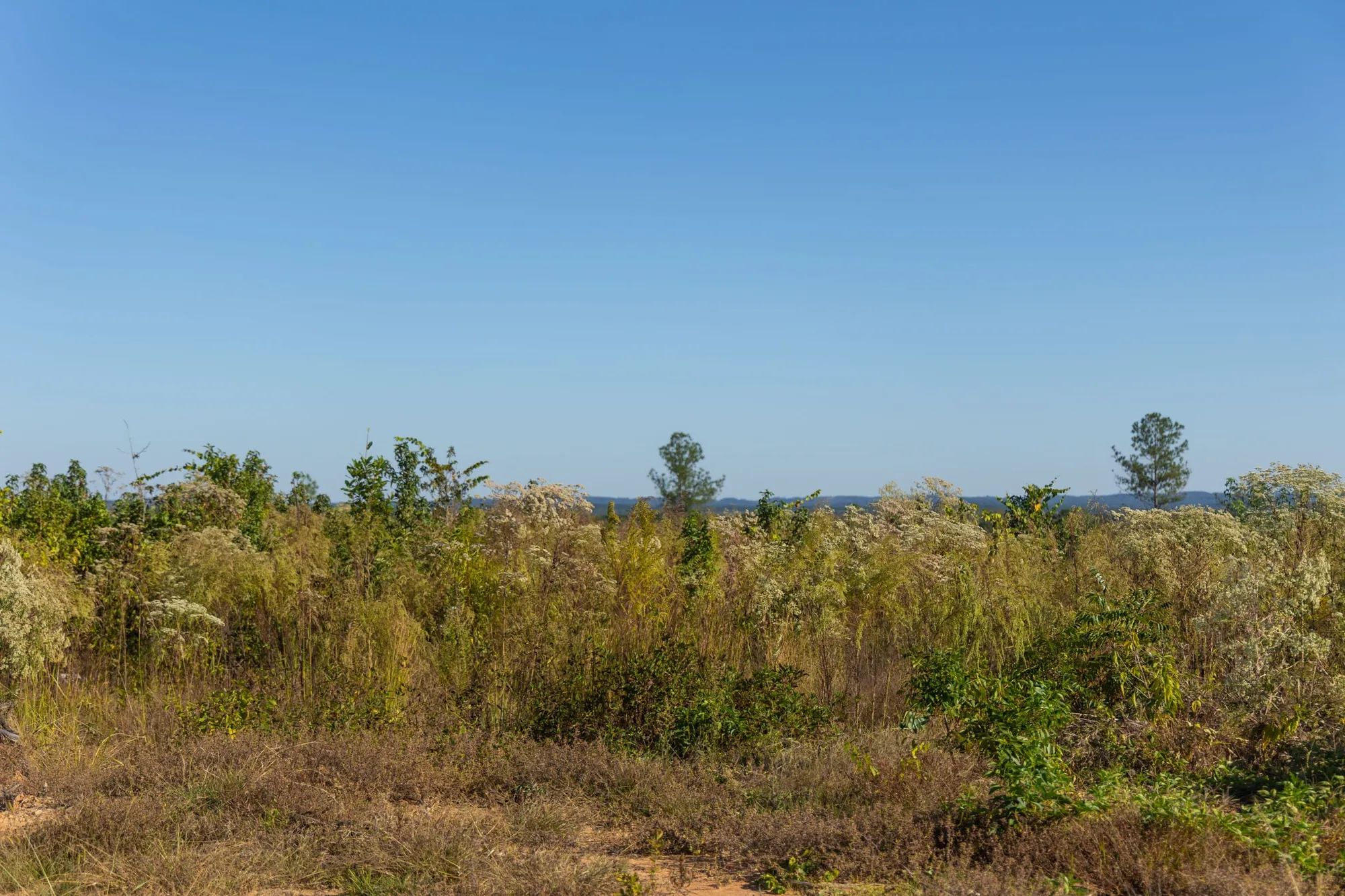 Meyer’s Ridge Tract 31 in Attala County, MS