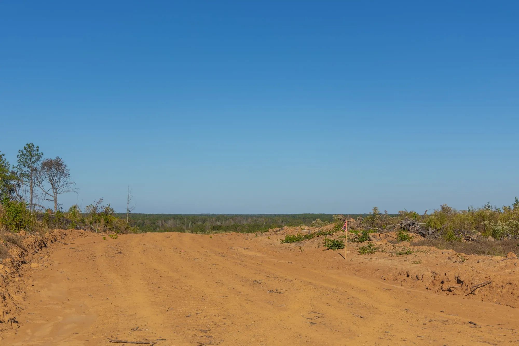 Meyer’s Ridge Tract 31 in Attala County, MS