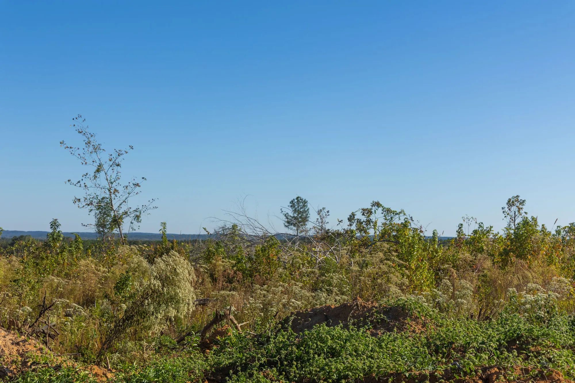 Meyer’s Ridge Tract 31 in Attala County, MS
