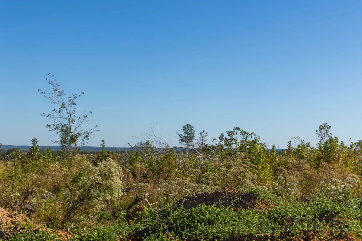 Meyer’s Ridge Tract 31 - Image 4