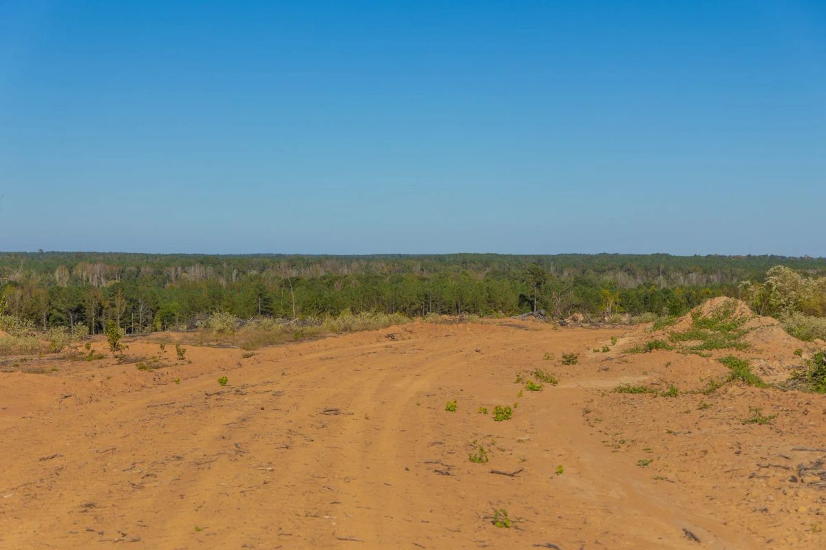 Decorative background for Meyer’s Ridge Tract 31 image 6