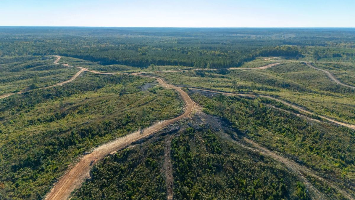 Decorative background for Meyer’s Ridge Tract 31 image 7