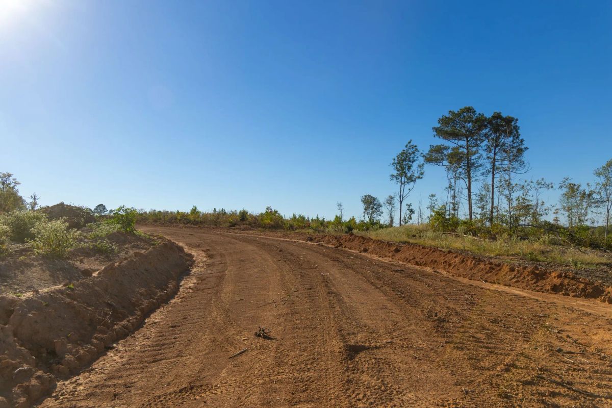 Decorative background for Meyer’s Ridge Tract 31 image 8