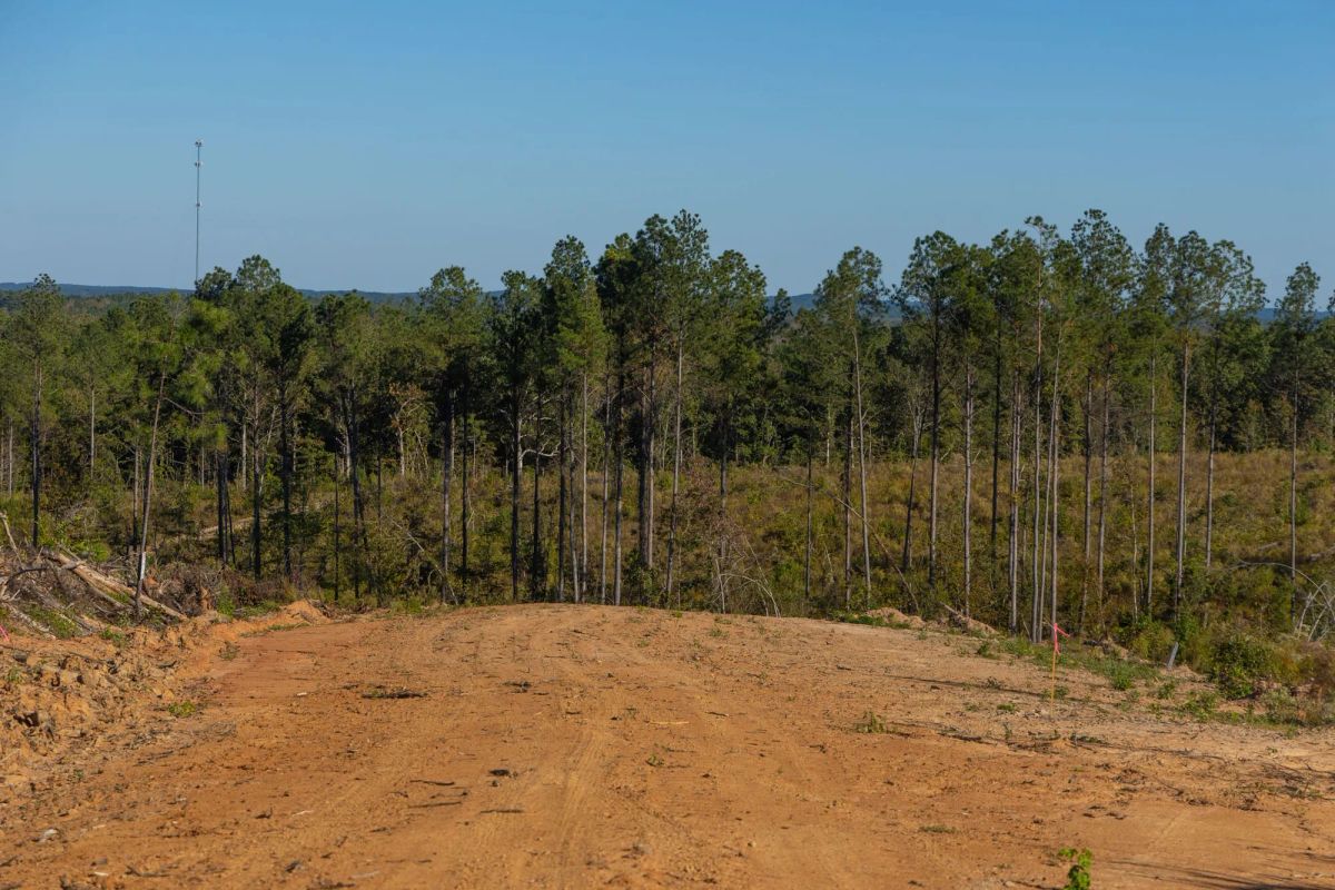 Decorative background for Meyer’s Ridge Tract 31 image 10