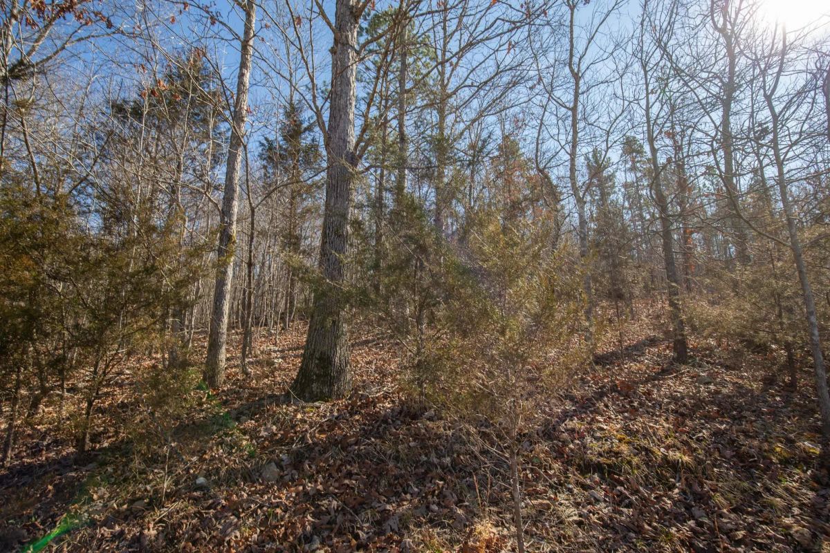 O’Connor Crossing Tract 24 - Image 4