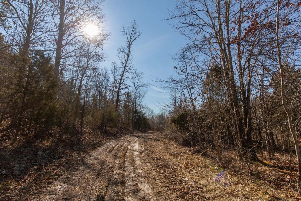 Decorative background for O’Connor Crossing Tract 24 image 6