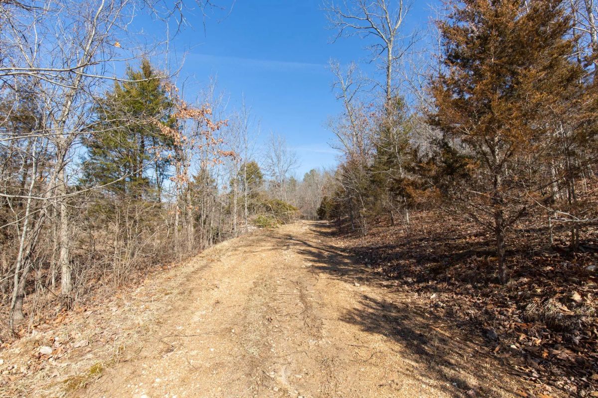 Decorative background for O’Connor Crossing Tract 24 image 9