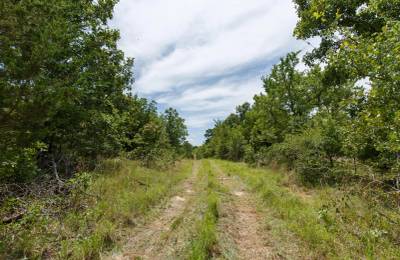 Timber Ridge Tract 13
