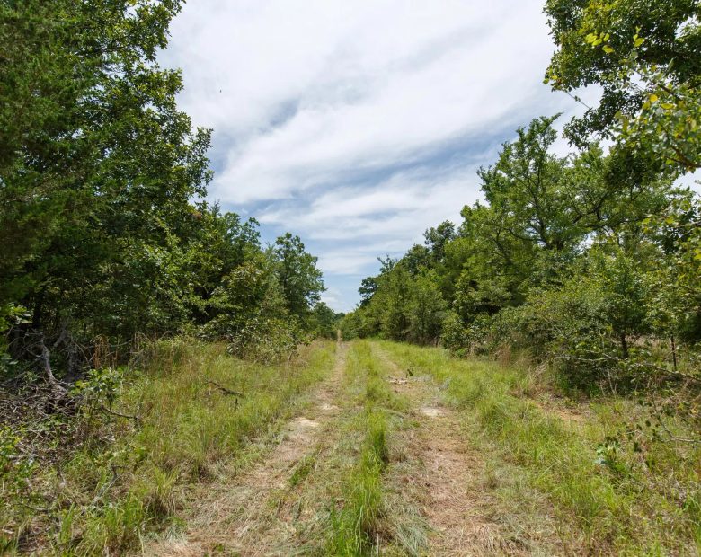 Timber Ridge Tract 13 in McIntosh County, OK