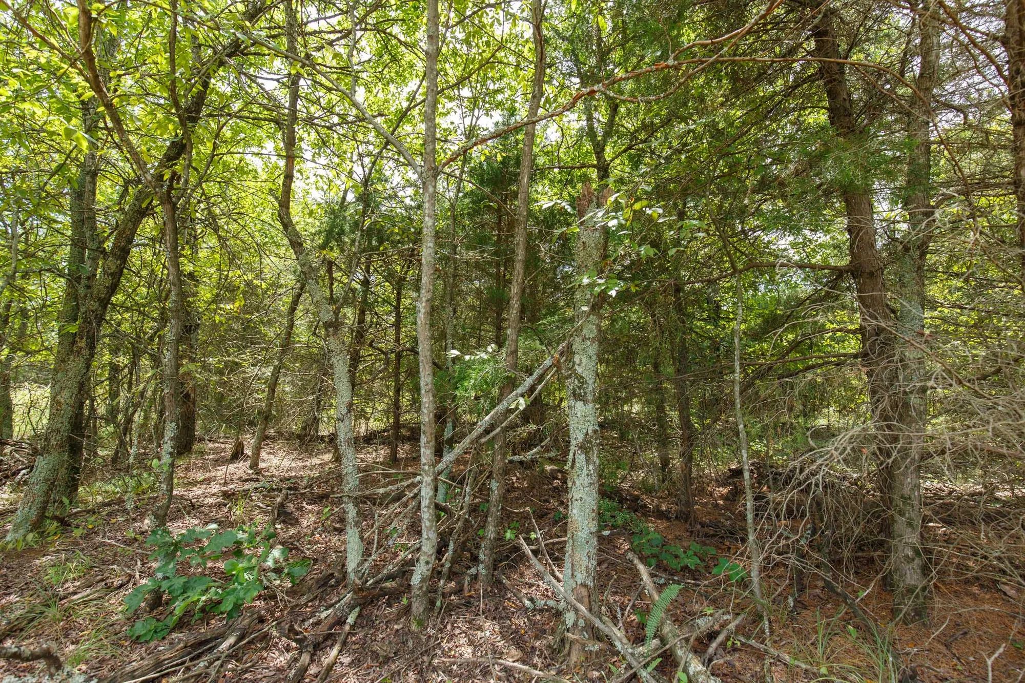 Timber Ridge Tract 13 in McIntosh County, OK