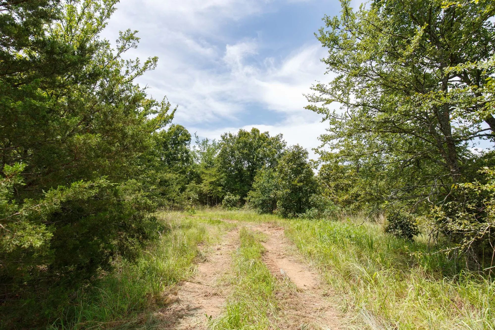 Timber Ridge Tract 13 in McIntosh County, OK